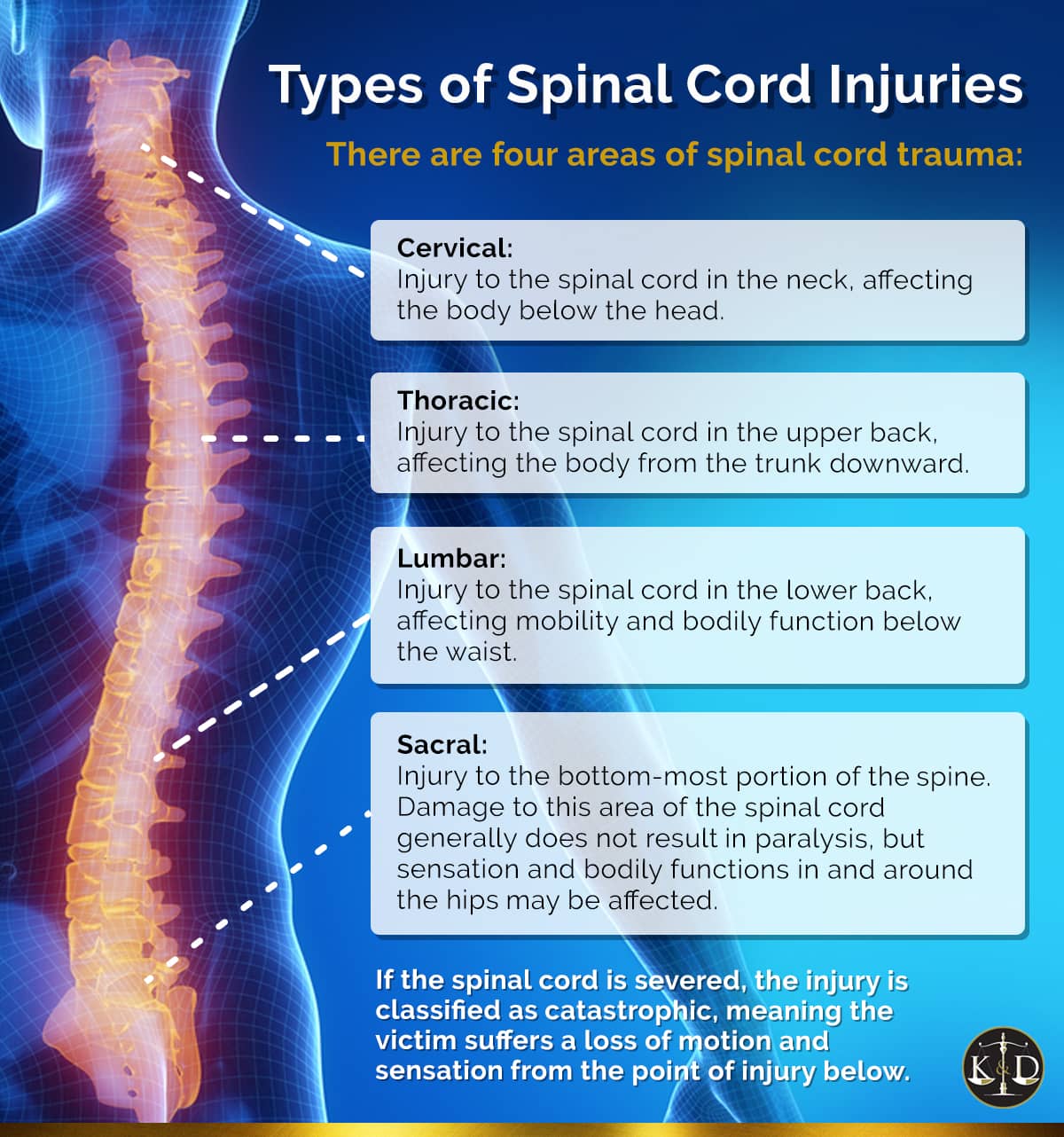 Types of Spinal Cord Injuries | Spine Injury Lawyers Florida