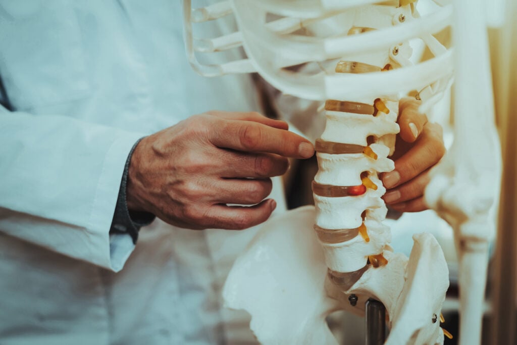 Doctor Holding and Showing Vertebrae on Skeleton