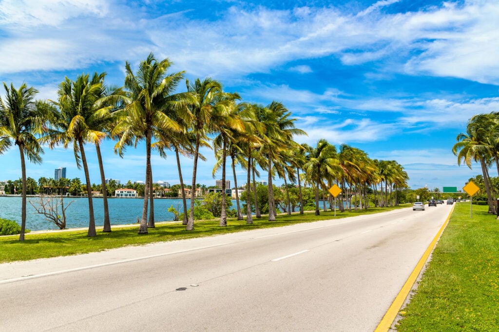 A road and palm trees along a Florida beach