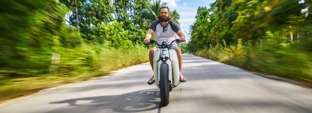 Bearded man driving a motorcycle down a road lined with palm trees