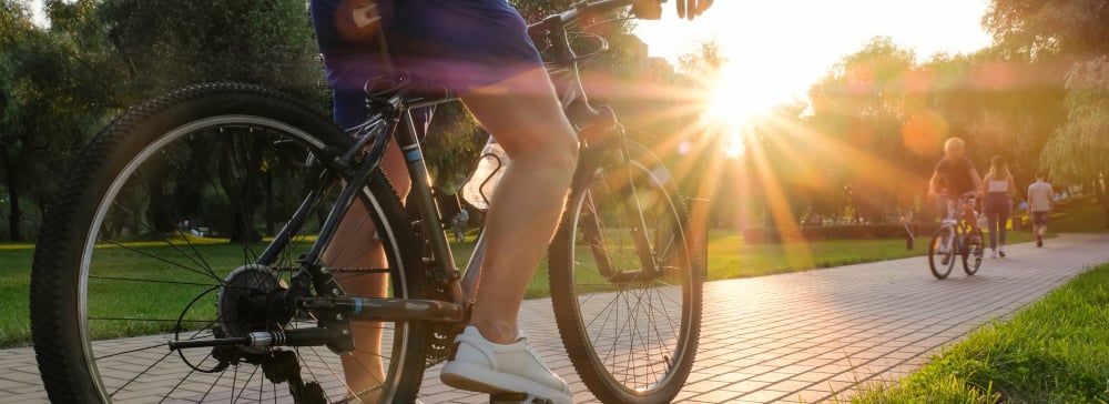 Man rides a bike outdoors in the park on a sunny day at sunset