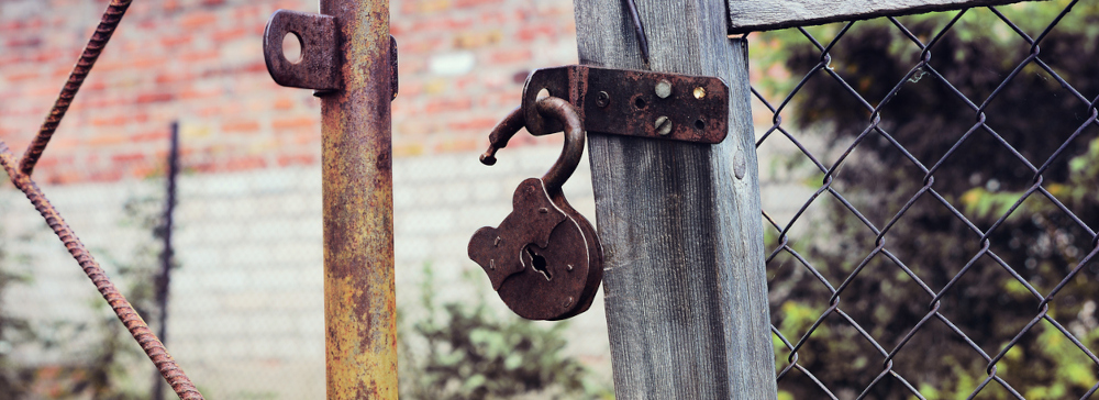 Rusty padlock open on old gate