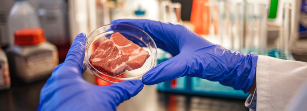 Scientist inspecting meat sample at laboratory.