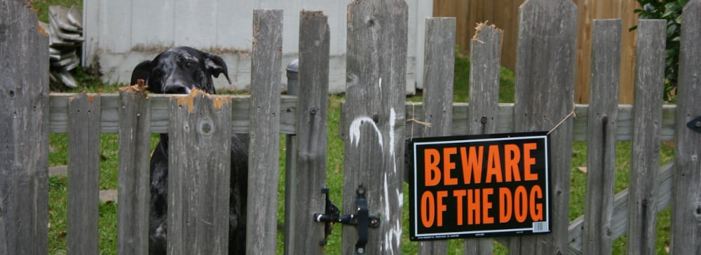 A black dog watching through a wooden fence with a sign reading "Beware of the Dog"