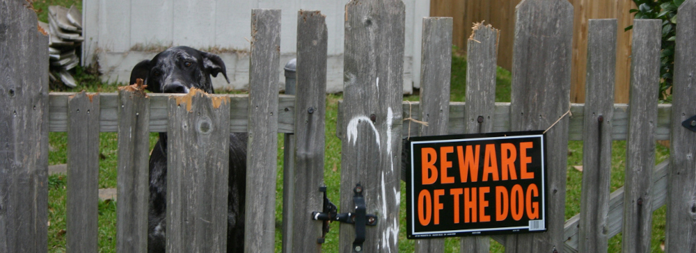 A black dog watching through a wooden fence with a sign reading "Beware of the Dog"